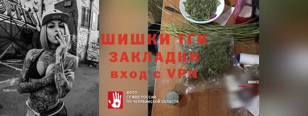 прущие грибы Гусь-Хрустальный