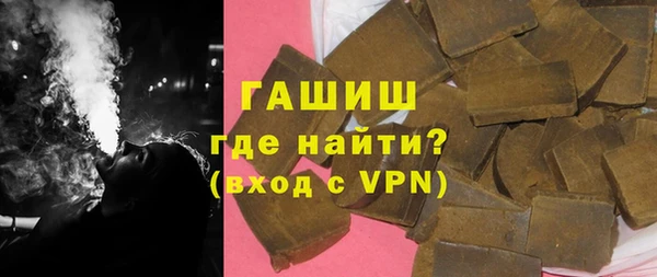 гидра Гусиноозёрск