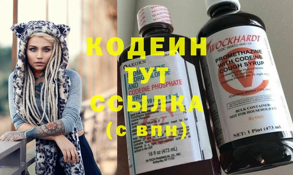 гидра Гусиноозёрск