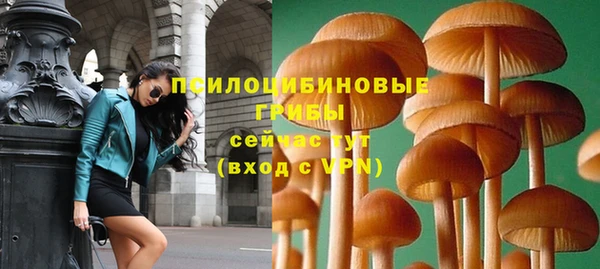 прущие грибы Гусь-Хрустальный