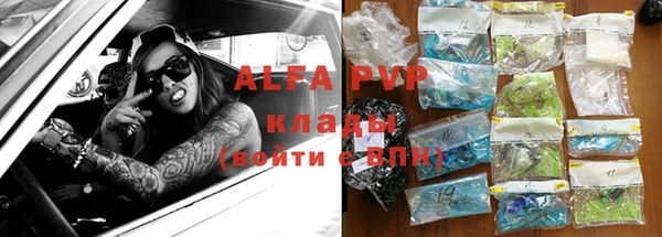 прущие грибы Гусь-Хрустальный