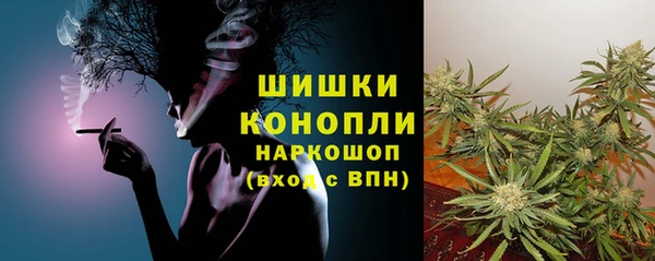 гидропоника Гусев