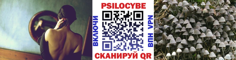 omg зеркало  Цимлянск  Галлюциногенные грибы Psilocybine cubensis  купить наркотик 